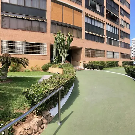 公寓 Albaida Park